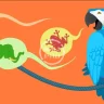 WPML Yoast SEO Multilinguals